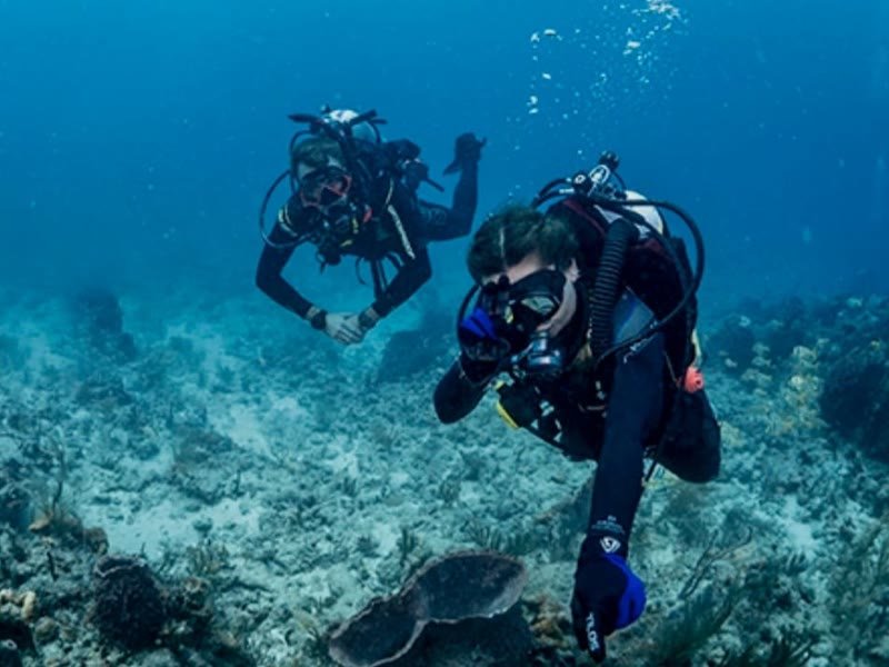 PADI Divemaster Kurs
