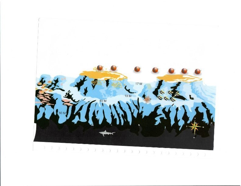 Carless Reef dive site, Red Sea