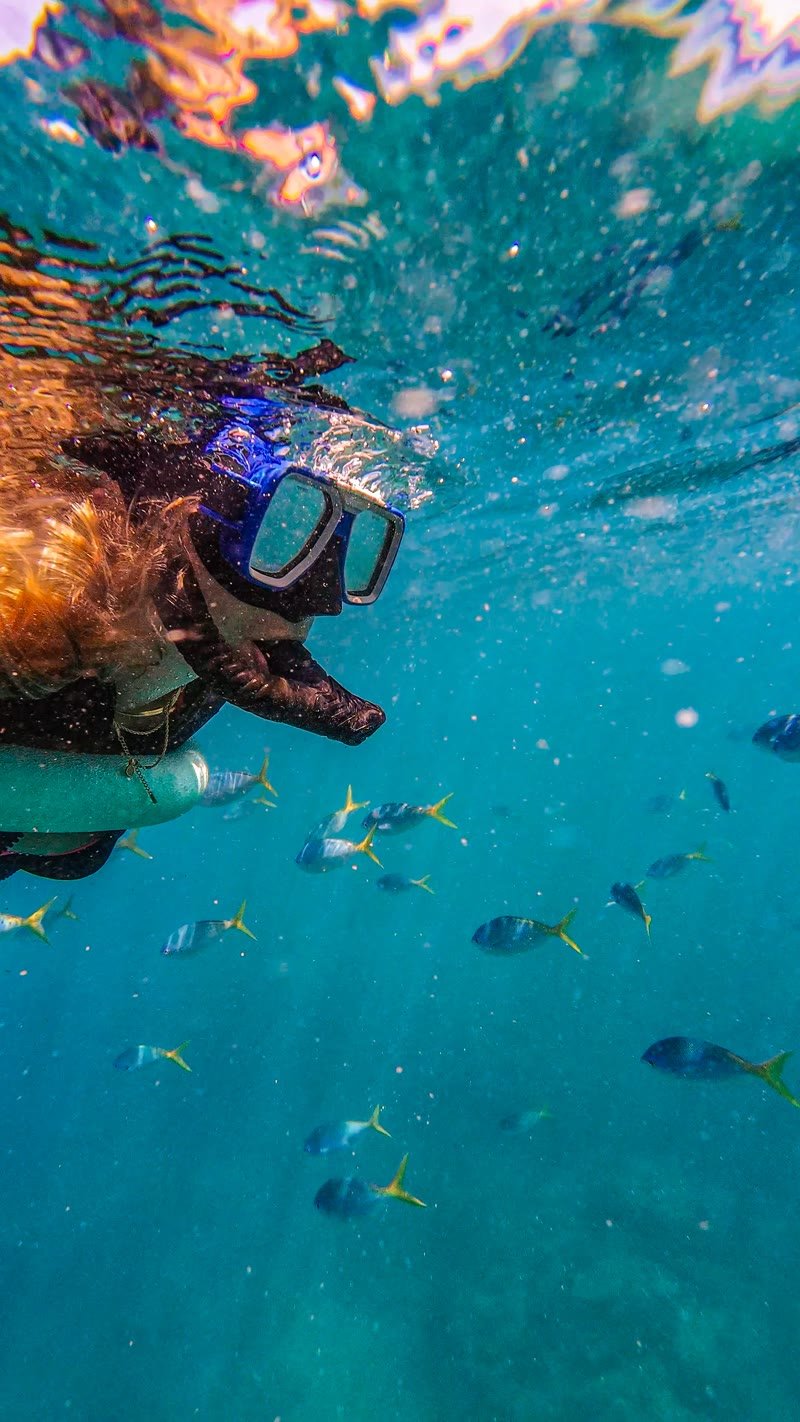 Snorkeling — photo