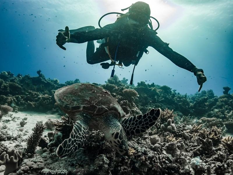 Open Water Diver — course photo